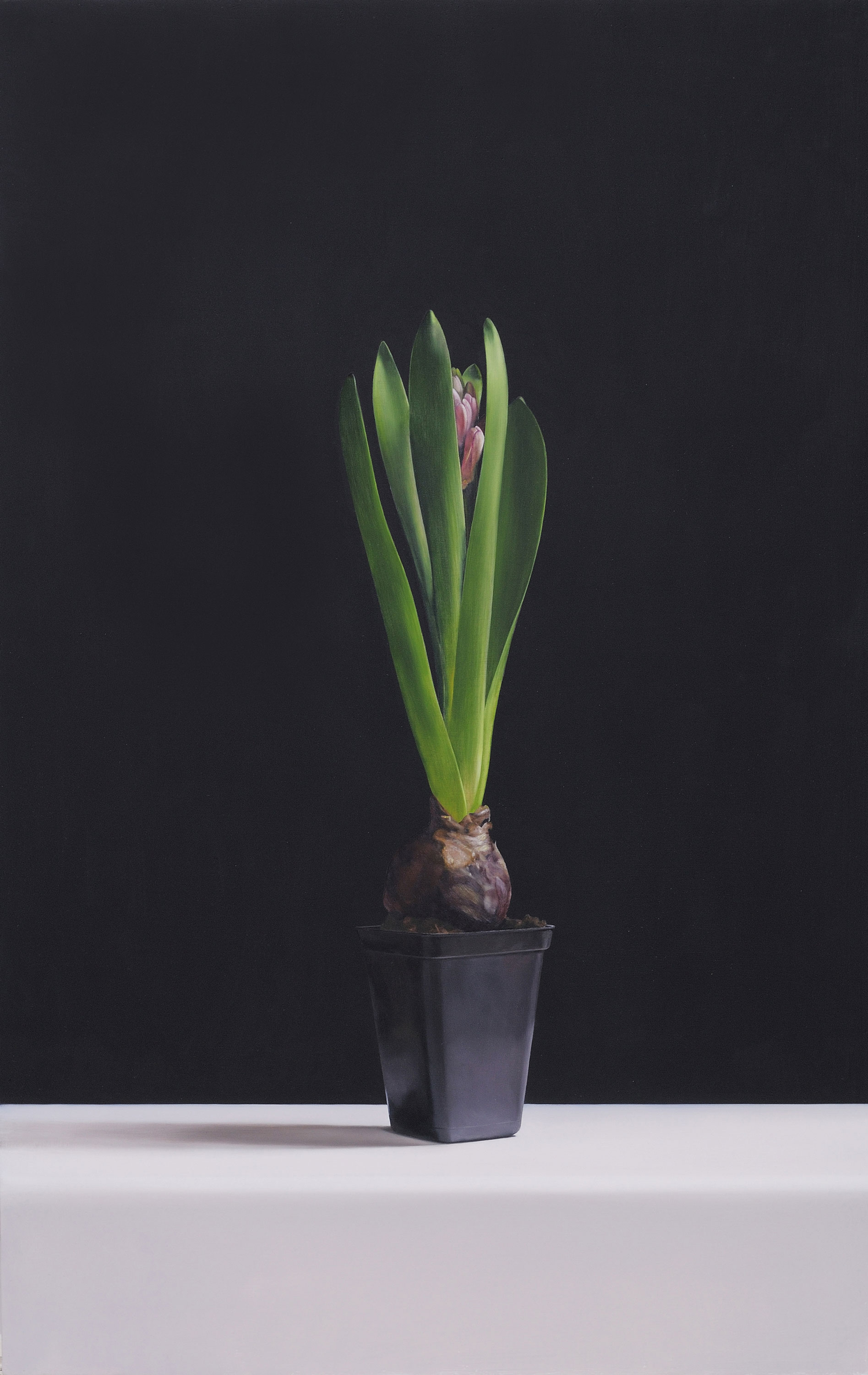 Expressed through Objects|借物抒情作品-Gaze No.2|凝視 No.2|,Oil on linen mounted on
								panel|油彩木板裱麻,60 x 38 cm|2014